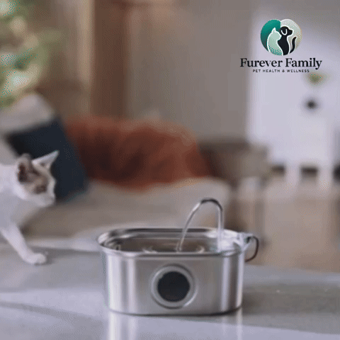 SafeSip Pet Fountain™
